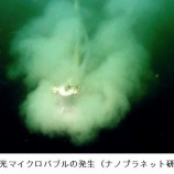 『徒然に光マイクロバブル（224）久しぶりの再会（4）』の画像