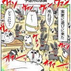 まむの巣