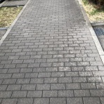 すっとこどすこい株投資