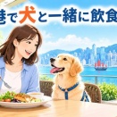 【香港情報】香港で犬と一緒に飲食店へ！2026年7月から許可された店舗で入店可能に