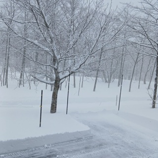 森の温泉～駒の湯温泉通信