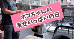 ポコちゃん幸せいっぱい。