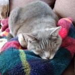 木のおもちゃで楽しい子育て