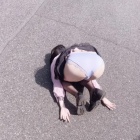 ◆【悲報】トー横女子、とんでもない格好で気絶してしまうｗｗｗｗｗｗｗｗ