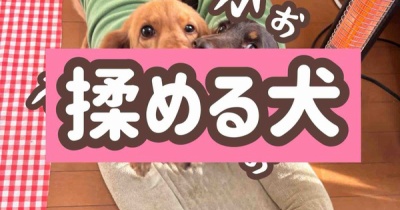 今日は揉めてます。