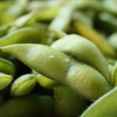 まもなくエントリー開始！『アオーレ長岡』で『第9回世界えだまめ早食い選手権』開催！7月11日。エントリー受付5月1日〜31日。