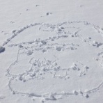 けんじぃ日記（チャンプＲＳと初期型ガンマと育児の記録）