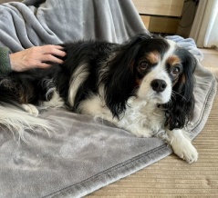 義弟の不安と恐怖…  夫婦関係は晩秋～初冬か？