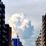 『自営業するなら vol.4096』の画像