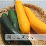 『生よし、焼いてよし、煮てよし栗原産「栗っこズッキーニ」』の画像