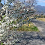 suzukondaisukiのblog