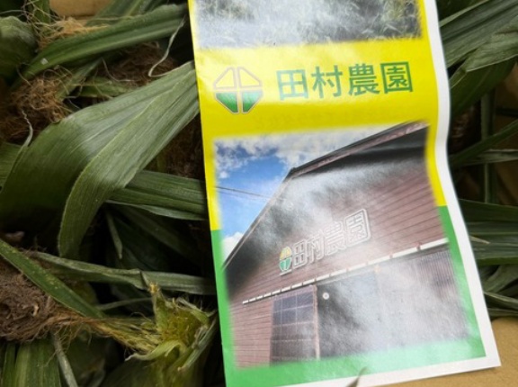 とうもろこし🌽が届きました😽💕😽