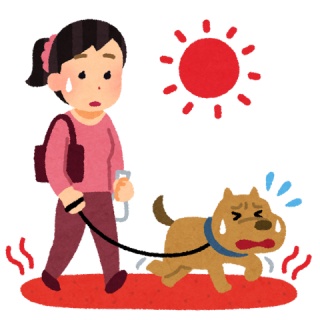 みんなの動物病院からのおしらせ