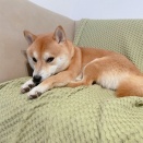 ちょっと自己嫌悪(　ﾟдﾟ)ｳﾑ