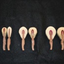 最近の中古ピアノが抱えるリスクとは？