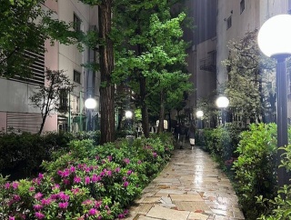 外国人「新宿で遭遇したこの素敵な路地、なんていう場所か分かる？」