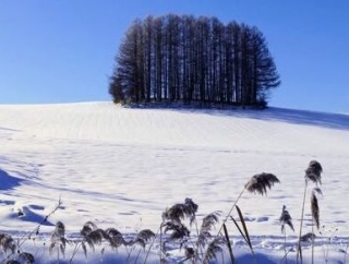 影響が大きい2割負担者の拡大