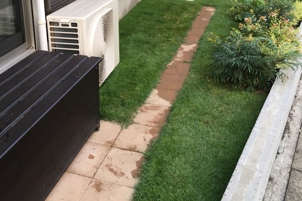 パワービルダーの建売に暮らすblog 庭