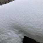 ぶろぐぱなぱな（verⅡ）