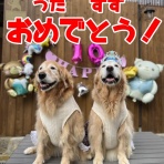 星のララ＆すずとうたの田舎暮らし