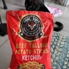 【ご飯＆猫日記】ケチャップ味のCOSTCOのスナック・猫観察