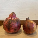 11月7日　とっても立派なので～買っちゃいました。