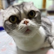 40キロ離れたお店でついに見つけたお人形