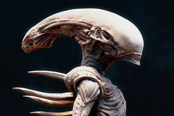 Roswell Japan Blog - エイリアン・プレデター