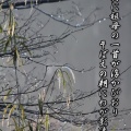 ふみくら10号発売