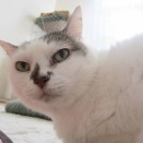 やめろと言われても