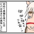 黒糖はウマコのサプリ