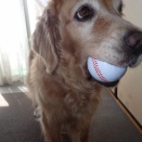 ポカポカ　お外は