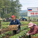 中国🇨🇳に侵食されるシベリア