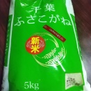 新米