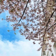 風穴あいた ／ 実家片づけ