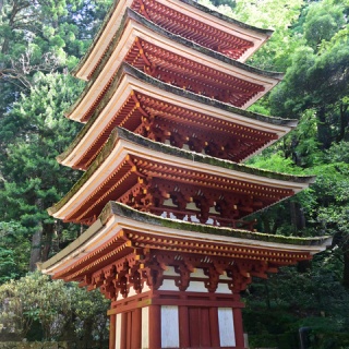 しない・させない・させられない