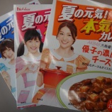 『【ハウス夏の元気!本気カレー!!AKB48】美味いのか？』の画像