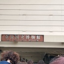 正倉院展へ行ってきました＆白菜と豚ミンチの味噌あんかけ