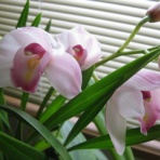 小松郭公太の気まぐれ日記