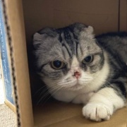 ケイの通院後の変化とななの血液検査の結果