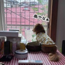 雨の週末。