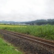 今日の只見線　いつもの列車は運休