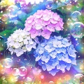 光彩の祈り夢の跡 Hopeful Grace