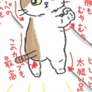 赤ちゃんポイント