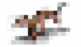 【古生物】これが230万年前のリスだ!🐿