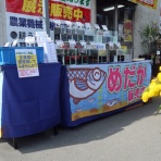 温泉めだかのブログ