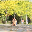 ★奥は更に人も少なく♪★