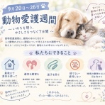 ドッグ＆キャッツ綿半箕輪店