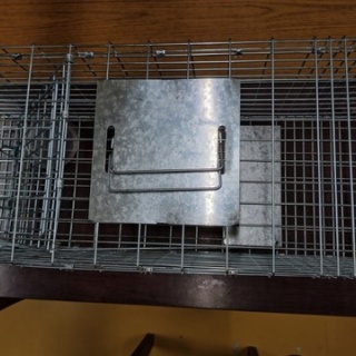 NPO犬猫みなしご救援隊・代表ブログ・みなしご庵へようこそ