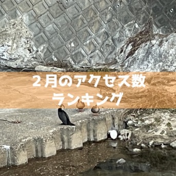2025年2月は19万0095PV。ペンギンみたいな鳥の記事が2万PV超